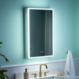 WELLFOR ELIN LED Medicine Cabinet 20-in x 30-in Lighted LED Fog Free Surface/Recessed Mount Silver Mirrored Rectangle Soft Close Medicine Cabinet with Outlet