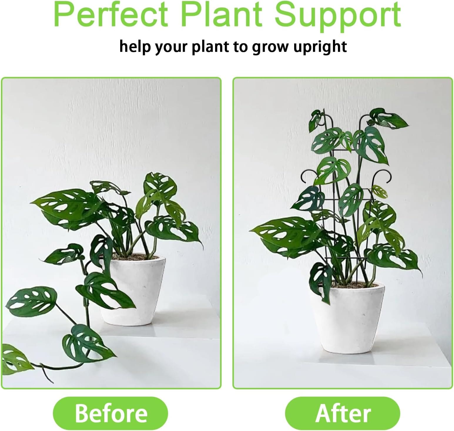 Etokfoks 2 Pack 23 Inch Metal Plant Trellis Set with 20 Plant Ties Rustproof Garden Support Stakes for Climbing Indoor Outdoor Plants Ivy - Image 2