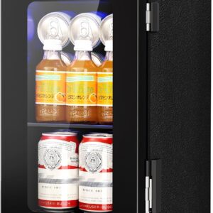 Kismile 10L Mini Beverage Refrigerator with Glass Door WC5810